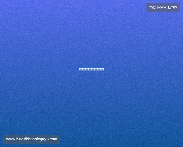 电子竞技李电子竞技世界冠军李晓峰